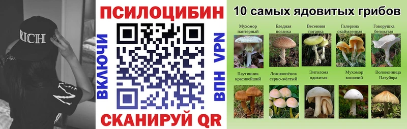 где купить   Калачинск  Псилоцибиновые грибы Magic Shrooms 